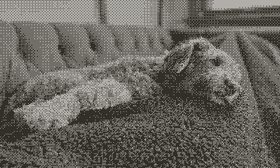 A computer-dithered image can end up fuzzy